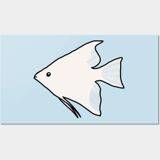 Platinum Angelfish Posters and Art